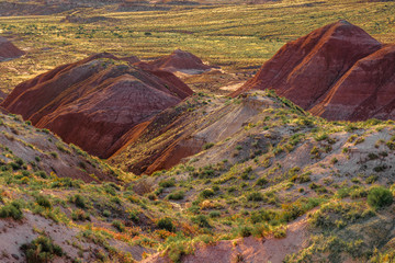 Warm evening light at Painted Desert