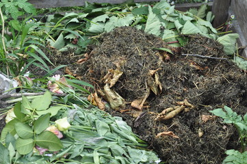 Compost bin for organic household waste for soil formation of black soil