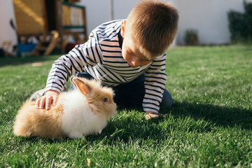 Little boy petting a bunny in garden