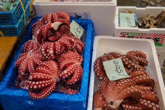 Japan, Tokyo, Tsukiji, boxes of fresh squid at the fish market