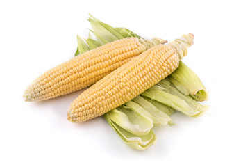 corn isolated vegetarian yellow green food 