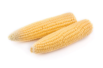 corn isolated vegetarian yellow green food 