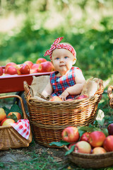 Girl with Apple in the Apple Orchard. Beautiful Girl Eating Organic Apple in the Orchard. Harvest Concept. Garden, Toddler eating fruits at fall harvest.