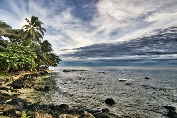 Beautiful and natural island in the caribbean sea. Palm trees and rocks on the beach.