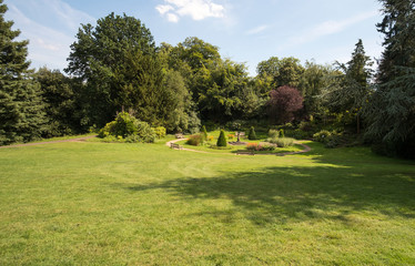 Fototapeta na wymiar Summer gardens and lawn, UK sumeer 2019
