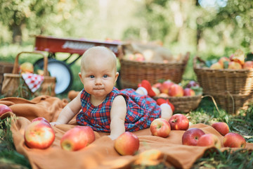 Fototapeta na wymiar Girl with Apple in the Apple Orchard. Beautiful Girl Eating Organic Apple in the Orchard. Harvest Concept. Garden, Toddler eating fruits at fall harvest.