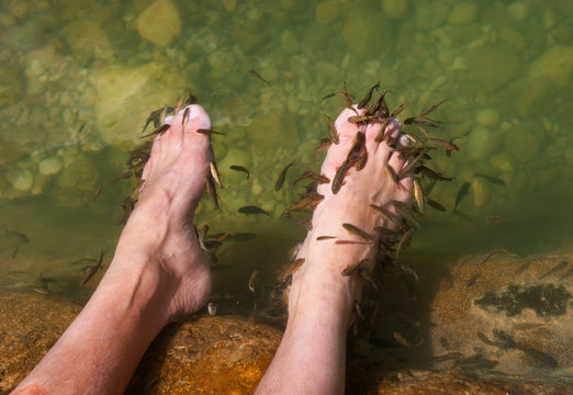 Man enjoying a fish-pedicure at Wadi Bani Khalid, Oman