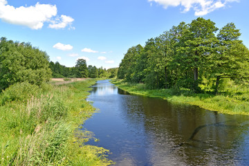 The river Meadow in summer sunny day. Kaliningrad region