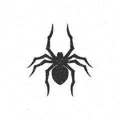 Spider silhouette isolated on white background vector illustration.