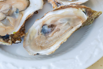 Opened raw oysters on a plate.
