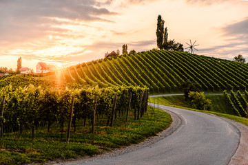 Asphalt road leading through country side of south Austrian Vineyards - Powered by Adobe