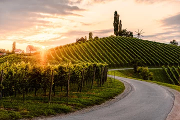 Cercles muraux Vignoble Route goudronnée qui traverse la campagne des vignobles du sud de l& 39 Autriche