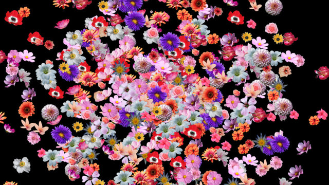 Flower Explosion Overlay