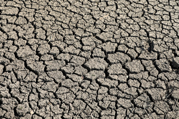 Ausgetrockneter Boden Trockenheit