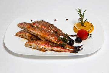 grilled lamb fish on a white plate