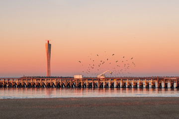 Fototapeta premium Sunset on the old wooden pier of Ostend, with modern radar tower in the background. Lots of seagulls flying around.