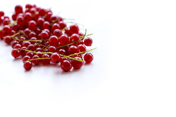 Red currant isolated on white