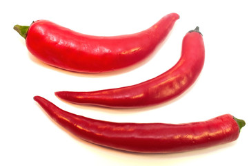 Red hot chili pepper isolated