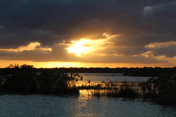 Atardecer en laguna con maleza 
