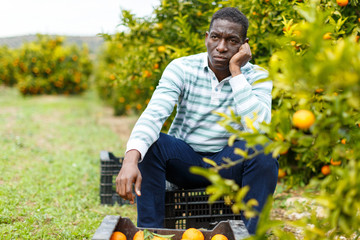 Portrait of upset Afro man  on farm
