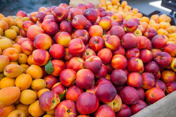 Fresh Nectarine And Apricot On Open Local Fruit Market