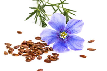  Flax seeds with flowers isolated on white background