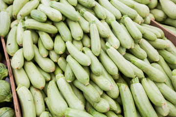  fresh raw zucchini at farmer green market
