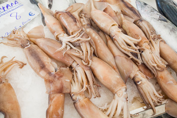 Fresh squids healthy seafood