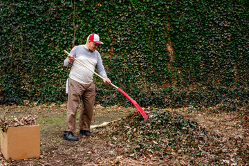 A senior man with rag in his pocket rakes a pile of leave