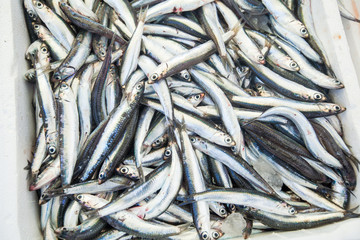 Fototapeta premium Heap of Sardines on local fish market ready for sale
