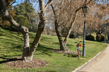 Una bicicleta esperando para pasear