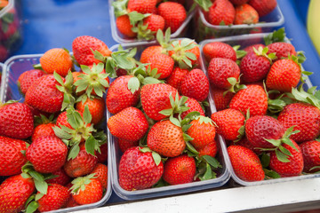 Red fresh strawberries in plastic boxes ready for sell at farmers marketplace