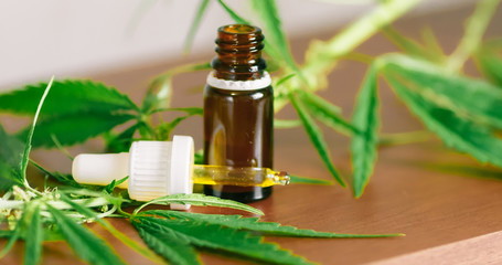 Wellness Hemp Cannabidiol, bottle of CBD oil on cannabis background. Premium marijuana products....