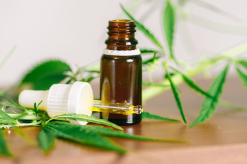 Wellness Hemp Cannabidiol, bottle of CBD oil on cannabis background. Premium marijuana products. Medical cannabis with extract CBD. A place for copy space