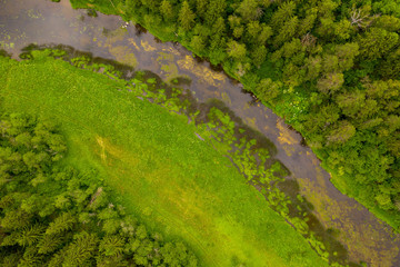 River cutting trough forest. Aerial drone view