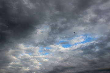 Fototapeta premium blue sky with clouds