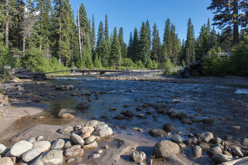 Forest and creek in Oregon