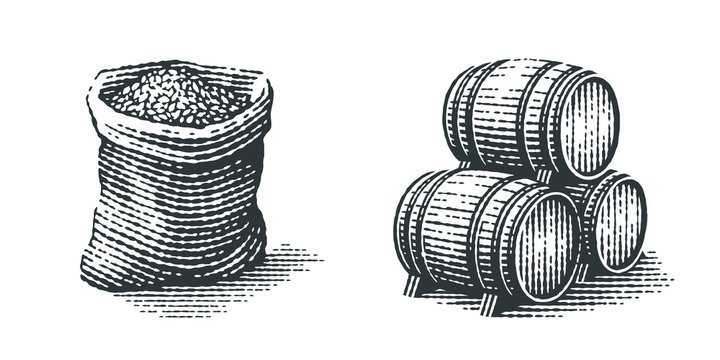 Malt in burlap bag and wood barrels. Hand drawn engraving style illustrations.