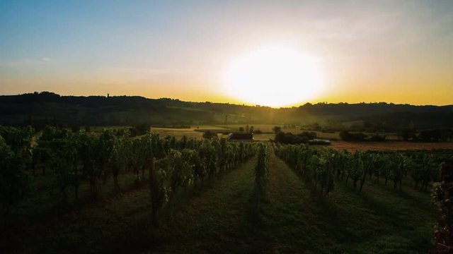 Sunrise timelapse in vineyards, Europe, France