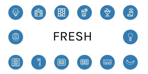 Set of fresh icons such as Salad, Greenhouse, Honeycomb, Cuba libre, Cocktail, Bread, Toothbrush, Soap, Sauces, Egg carton, Banana, Sour cream, Celery , fresh