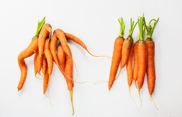 Ugly and beautiful carrots on a white background. 