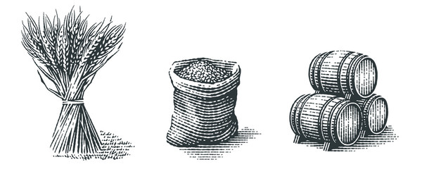 Malt in burlap bag, sheaf of wheat and wood barrels. Hand drawn engraving style  - obrazy, fototapety, plakaty