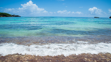 The shore of Winnifred Beach, a beautiful Jamaican lagoon close to Port Antonio