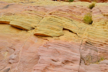 砂岩背景（ピンク、黄色、オレンジ）