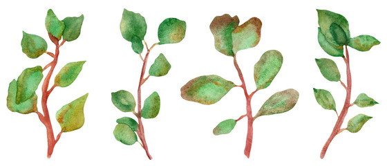 Watercolor, hand-painted, set of branches, with green leaves.  Autumn illustration for beautiful holiday invitation design, greeting cards, with space for text.