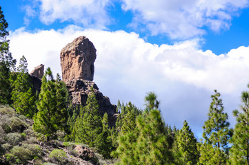 Roque Nublo volcanic monolith rock surrounded by the pine trees with the blue sky and white clouds in the background. Relaxing trekking view in the center of Gran Canaria municipality Tejeda