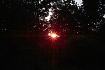 朝、夜明け、光