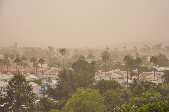 Severe sand storm from Africa known as Calima on Gran Canaria. Maspalomas district covered in dust