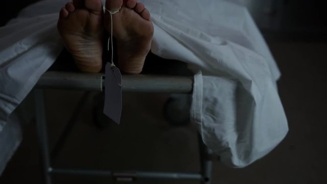 Body on a Gurney in the morgue