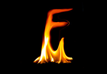Fototapeta premium Letter F made of fire